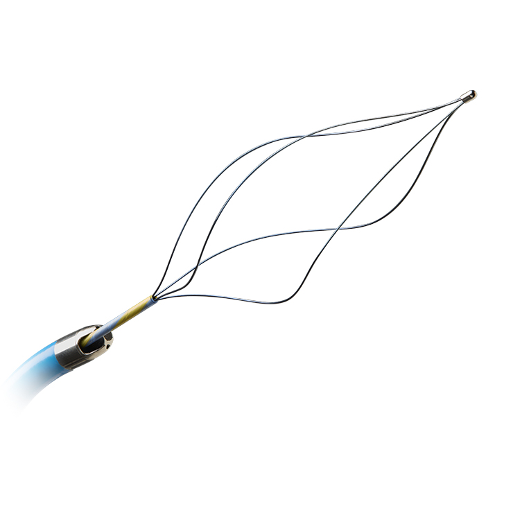Distal Caps